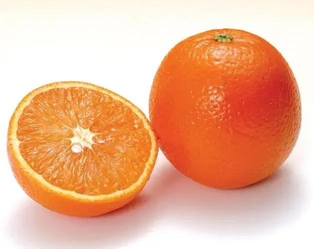 目前最好的脐橙品种(什么脐橙品种最好吃)