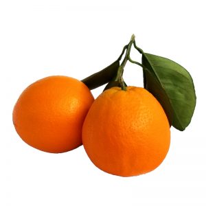 图片[1]-脐橙树几月份剪枝(脐橙树什么时候剪枝最好)-安远脐橙