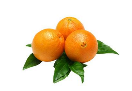脐橙每年什么时候熟?(纽荷尔脐橙成熟的季节是几月)