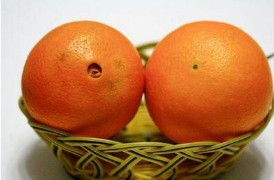 怎么辨别脐橙是否染色