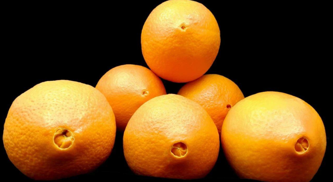 橙子和脐橙不一样，不要被骗了，脐橙是不分公母的！