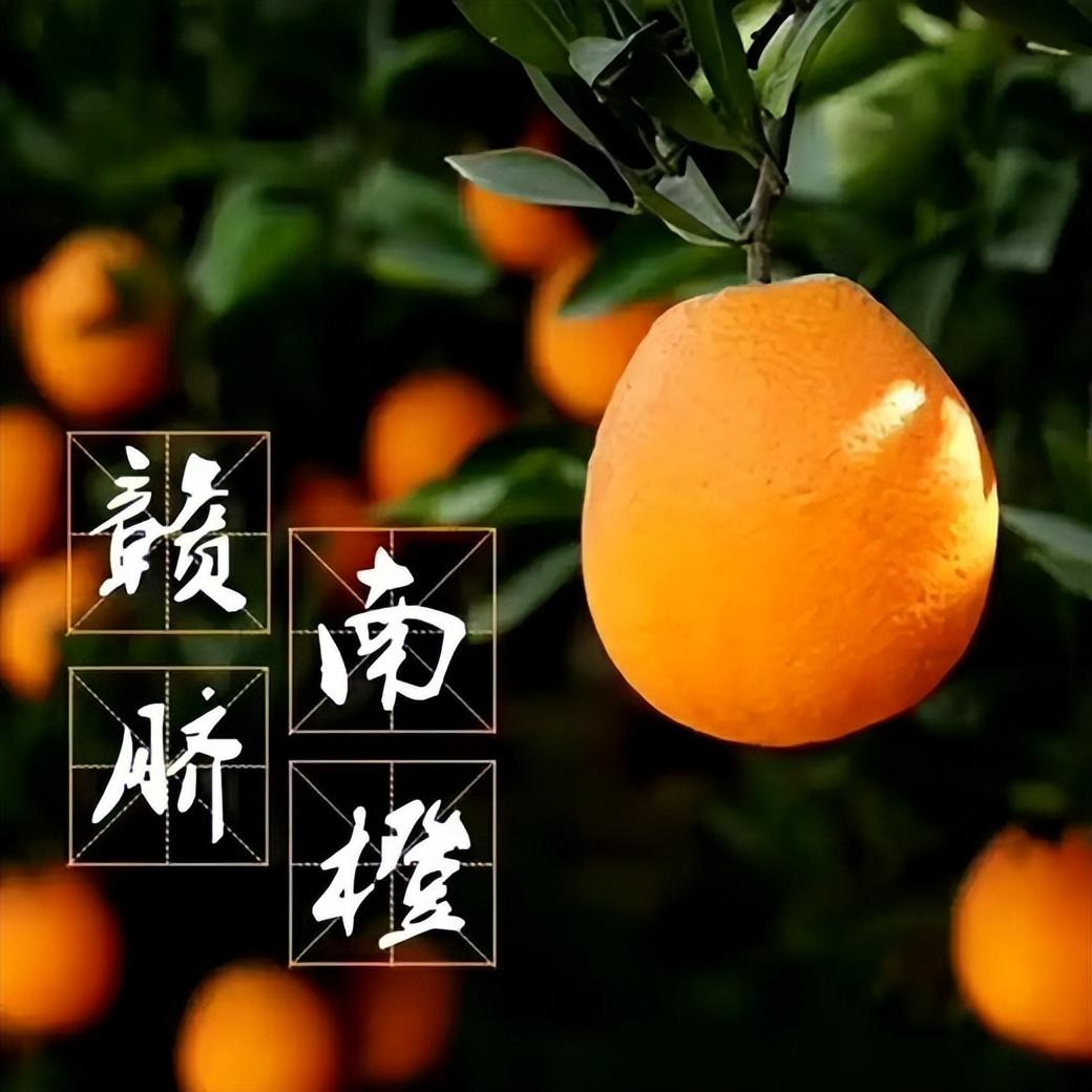 世界第一的赣南脐橙，10个有7个是假的，买赣南脐橙你要这么选