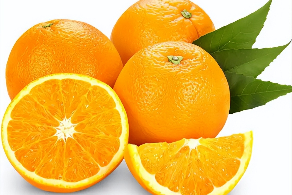 脐橙什么品种果形最大