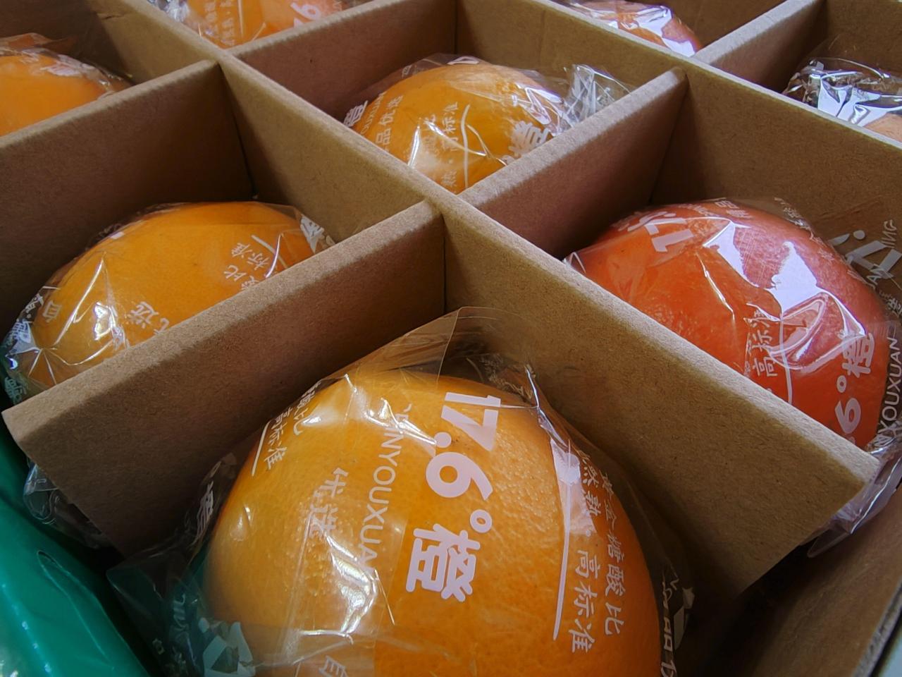 图片[3]-赣南脐橙，好吃到爆的宝藏水果-安远脐橙