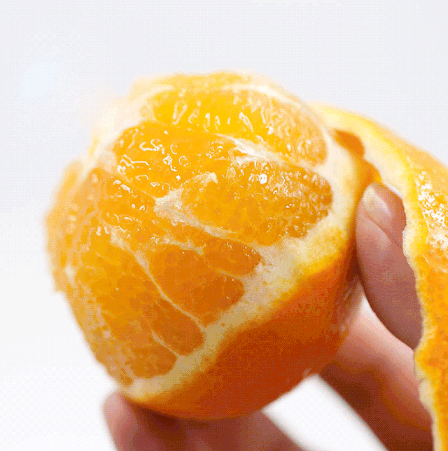 赣南脐橙为什么有长的有圆的