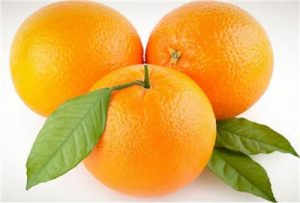 脐橙种植知识培训(果树栽培技术)-安远脐橙