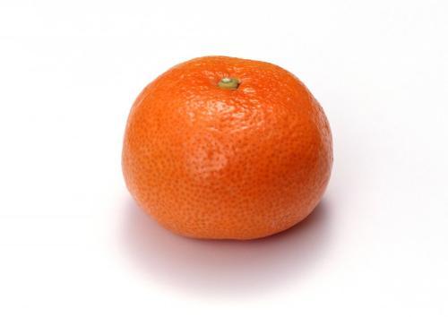 橘子种子怎么让它发芽(橘子种子放水里可以发芽吗)-安远脐橙