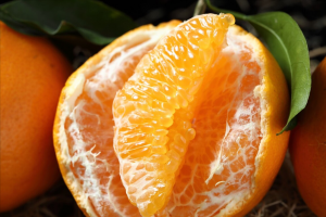 贡柑是指哪种水果(贡柑和沃柑的区别)-安远脐橙
