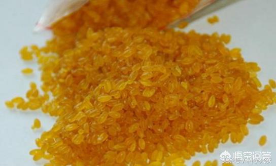 黄金大米的功效与作用及食用方法