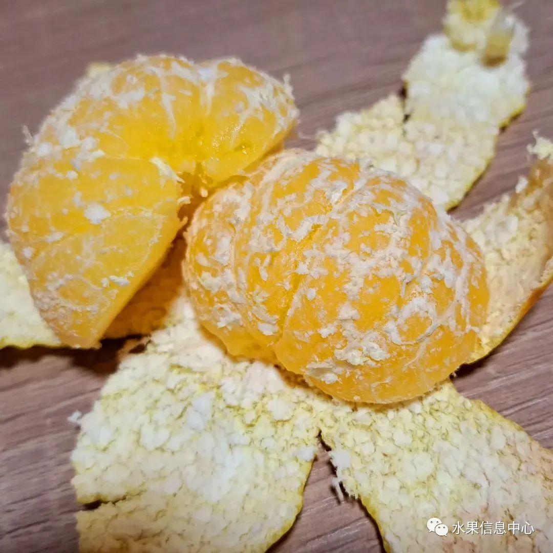 橘子品种大全及名称(哪里的橘子最出名)