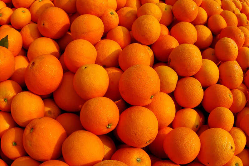 脐橙产地哪里的最好(经过评比，这6个地方比较出名，有你家乡吗)