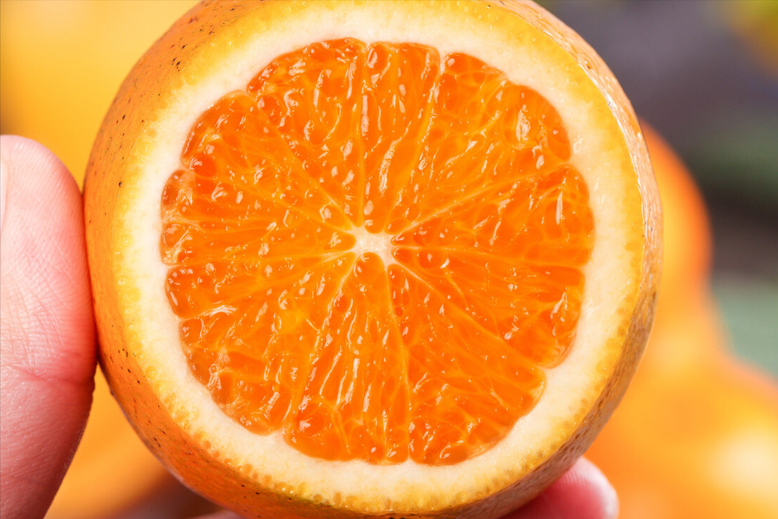 脐橙产地哪里的最好(经过评比，这6个地方比较出名，有你家乡吗)