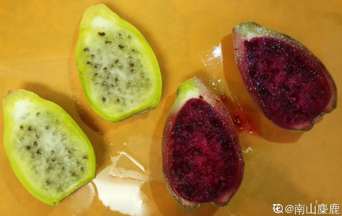 仙人掌果的吃法和养殖技巧，让你轻松享受健康美味