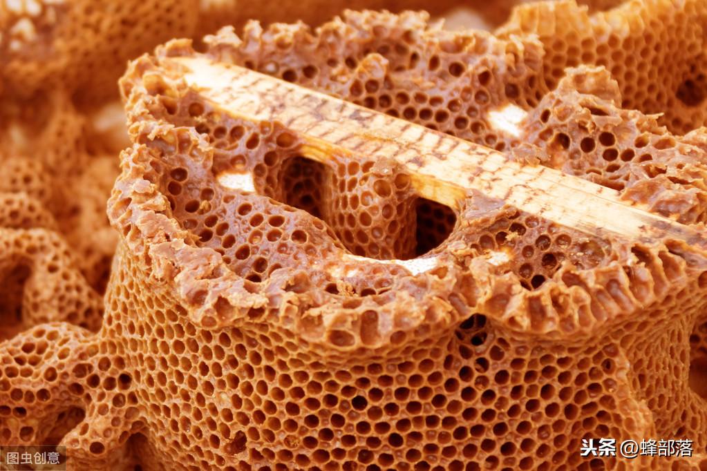 花蜜怎么变成蜂蜜(养蜂人讲述全过程，真是太神奇了)
