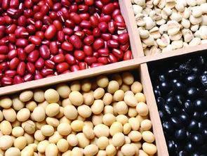 大豆一般指的是什么豆(哪些是杂豆吗？它们营养有区别吗)