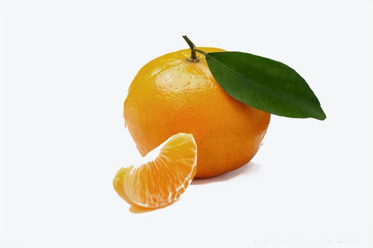 全国五大最受欢迎的橘子品种，你尝过几种？