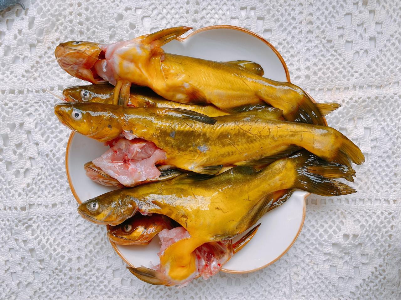 春季家常美食：红烧黄辣丁的做法及营养价值