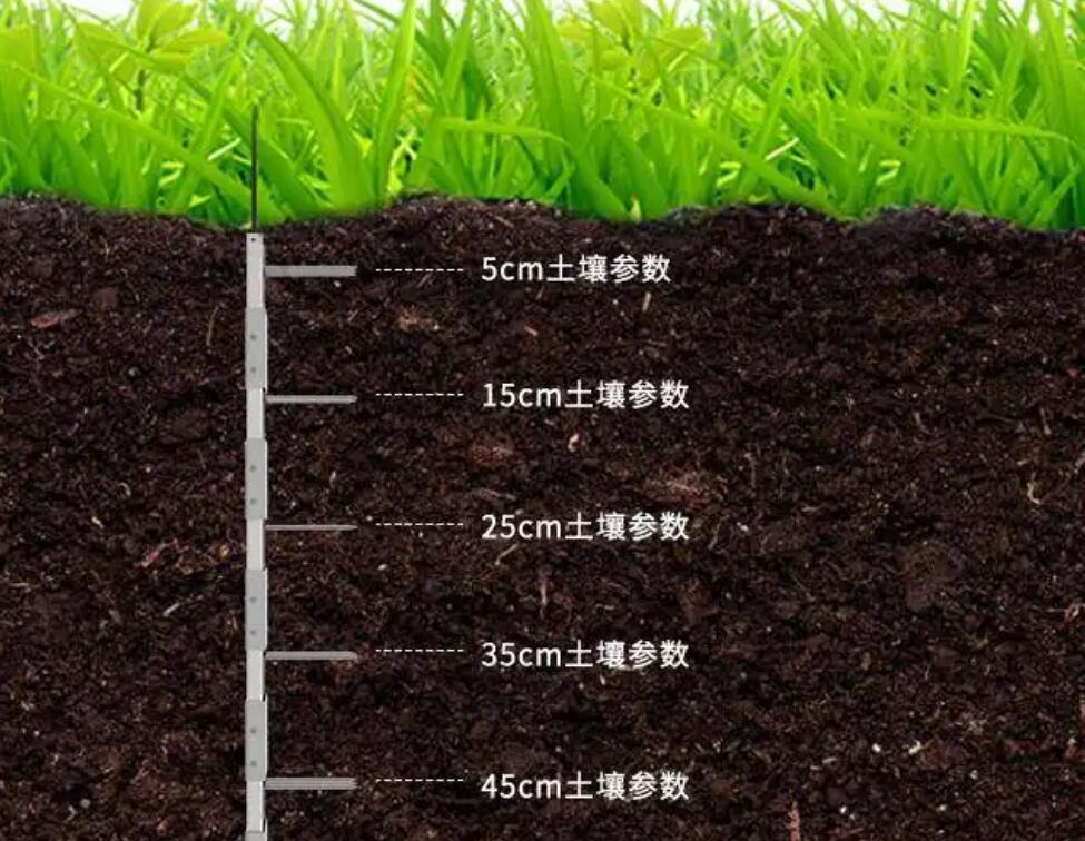 如何提高土壤中的有机质含量？有机质对土壤肥力的影响及提升方法