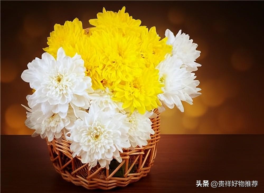 代表友谊的花卉及其寓意，送给朋友表达深厚友谊