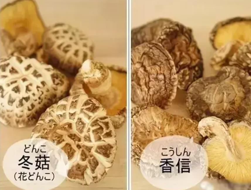香菇、花菇、冬菇：外表相似，寻找香菇的不同