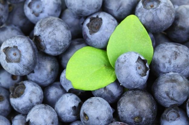 蓝莓的营养价值与挑选清洗方法，让你更懂它