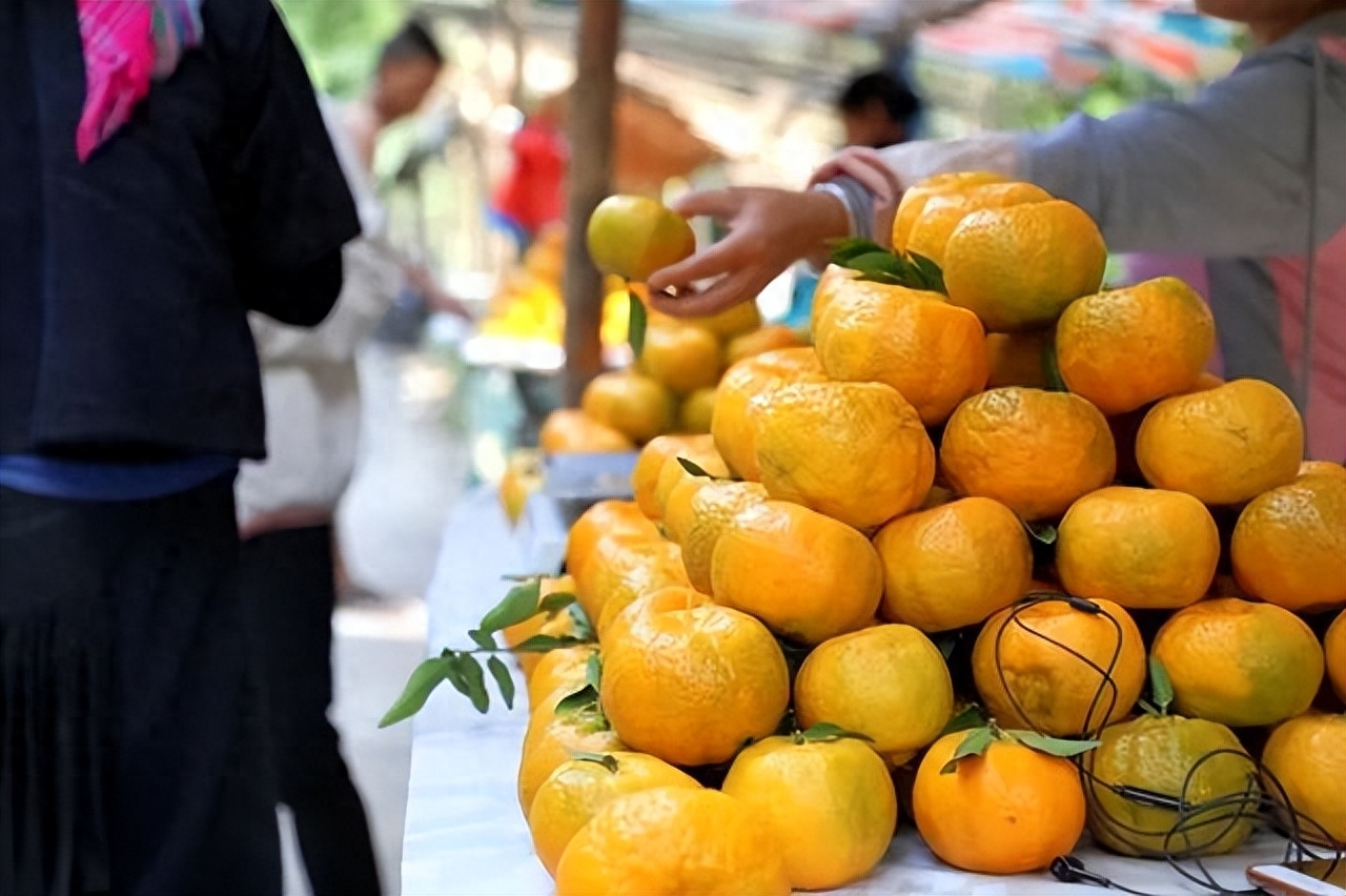 湖南农村柑橘丰收季，品尝新鲜香甜，助力农村经济发展！