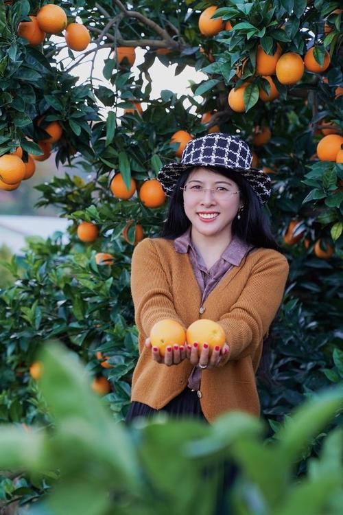 2022年江西赣南脐橙丰收季，亲手采摘6块钱一斤，口感鲜美多汁