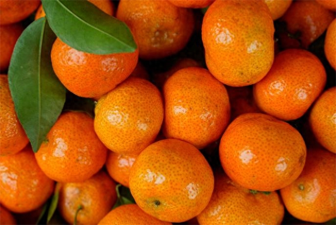 橘子和桔子：同一种水果的不同叫法及其营养价值解析