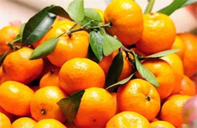 橘子和桔子：同一种水果的不同叫法及其营养价值解析