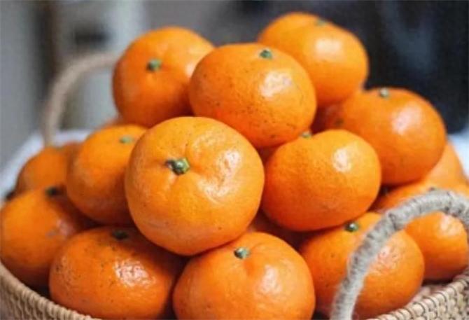 桔子和橘子是同一种水果吗？了解它们的区别和特点