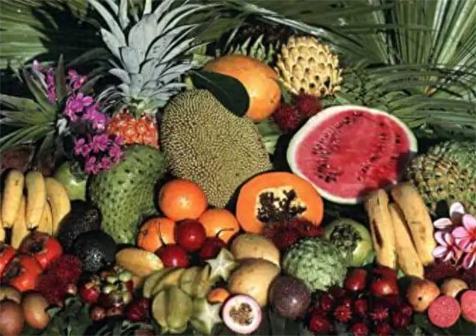 探索美味热带水果，芒果、菠萝和榴莲的多种吃法！