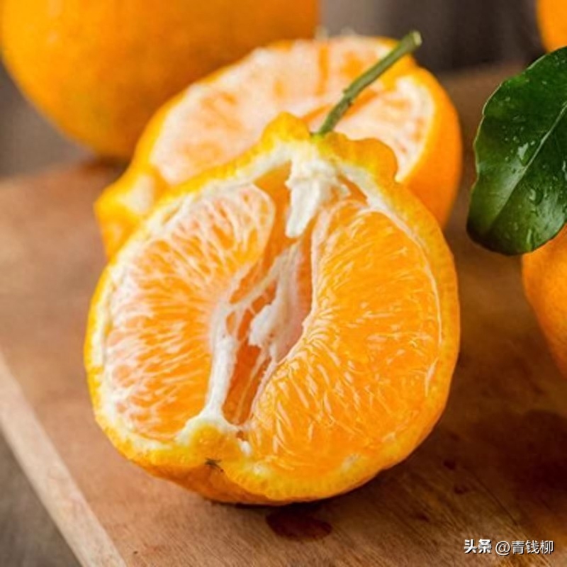 柑橘种植技术及栽培要点详解，助力柑橘产业持续发展