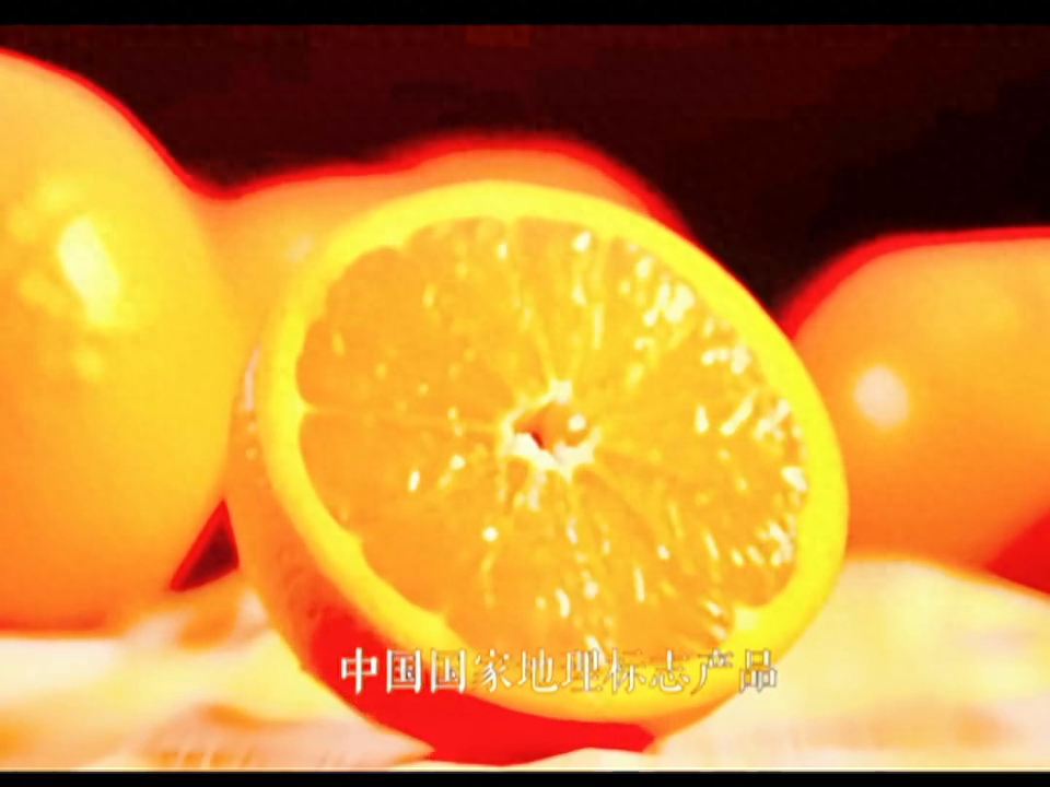 中国优质脐橙之王-雷波脐橙，品质超越美国加州原产地