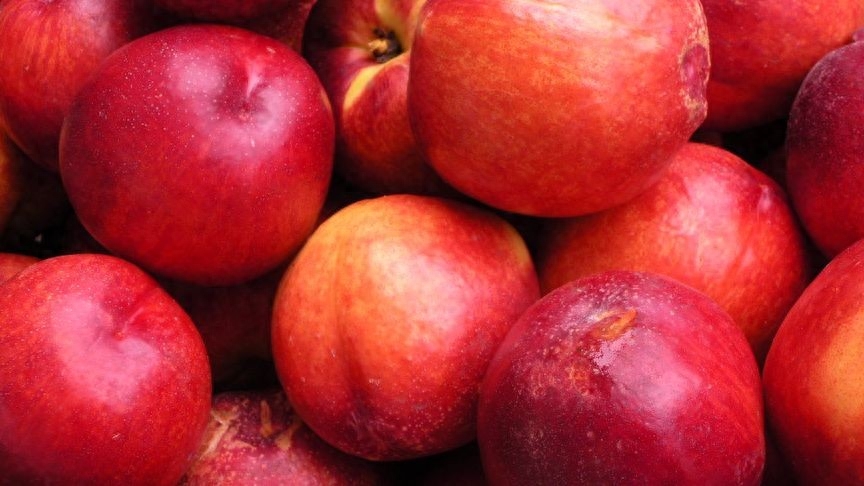 如何避免购买寄生虫含量高的水果？葡萄、草莓、荸荠、杨梅、桑葚寄生虫问题解决方案
