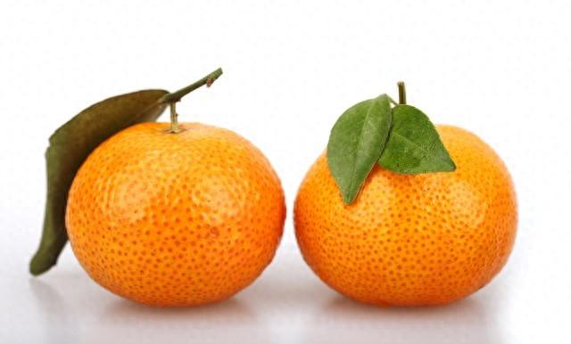 秋天丰收季，了解柑橘家族的区别和选购技巧