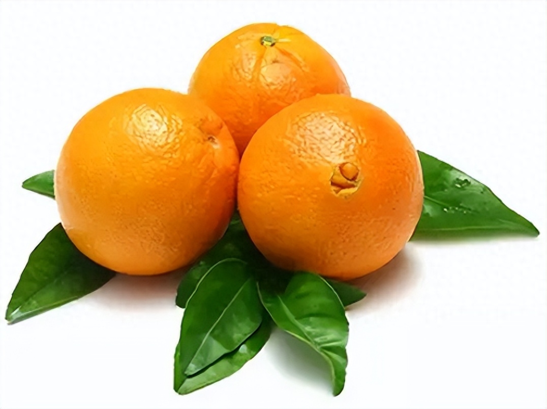 图片[1]-【探索脐橙的品质与产地】自然滋养，让您爱不释手-安远脐橙