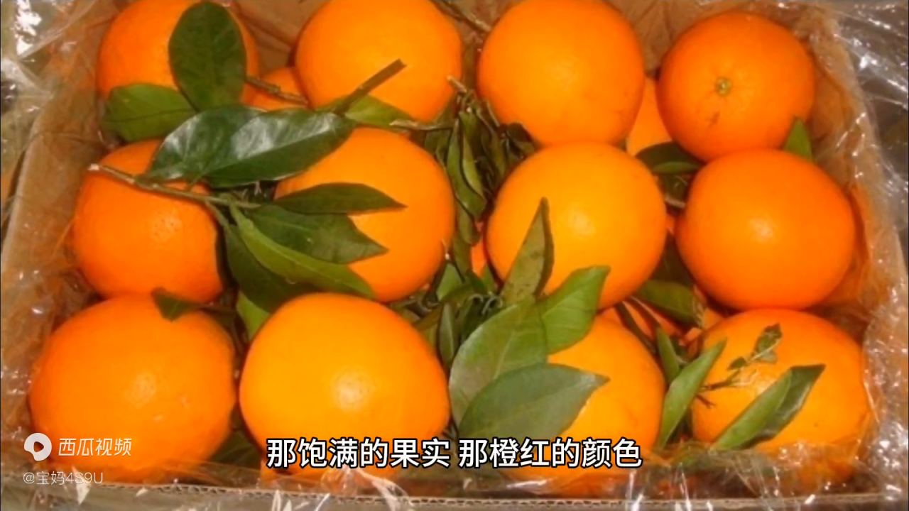 赣南脐橙：用味道传递情感，送给领导、客户、孩子和自己的祝福