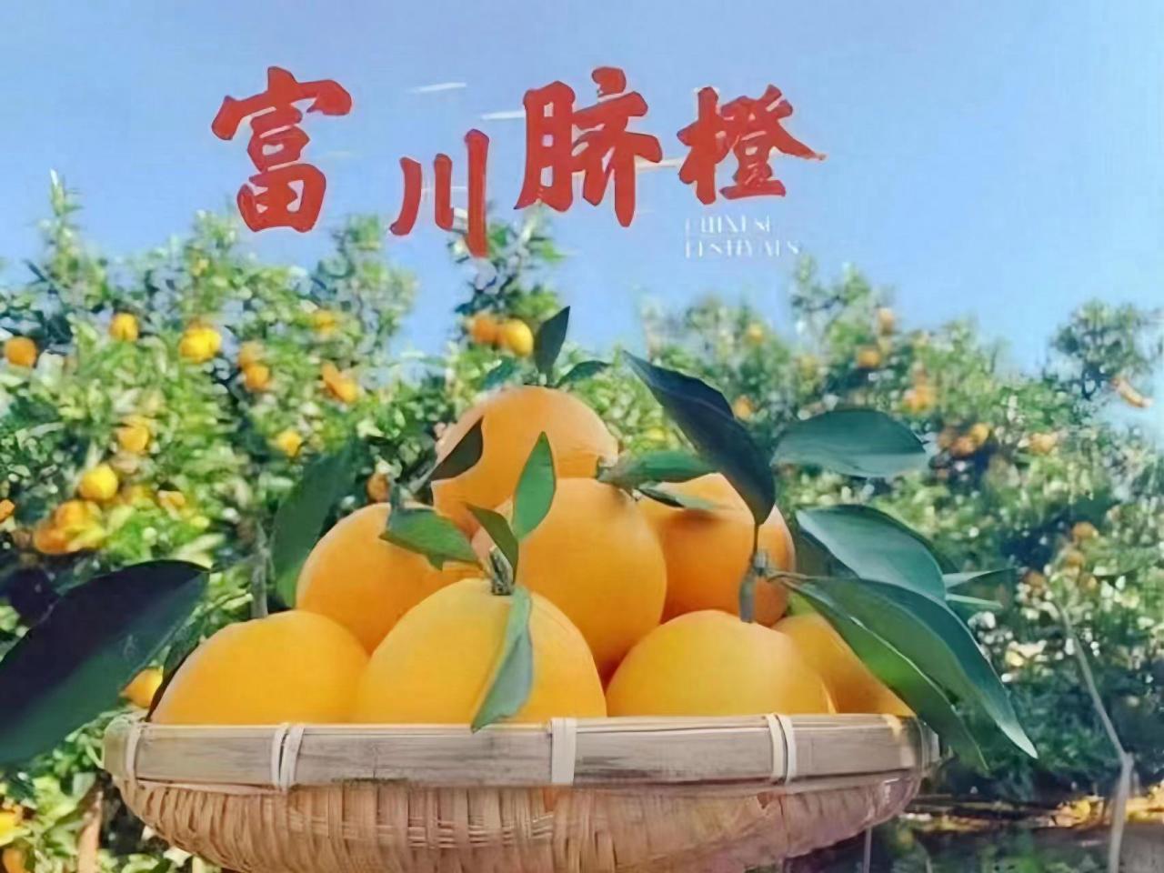 广西富川脐橙：中国脐橙之乡的特色美食