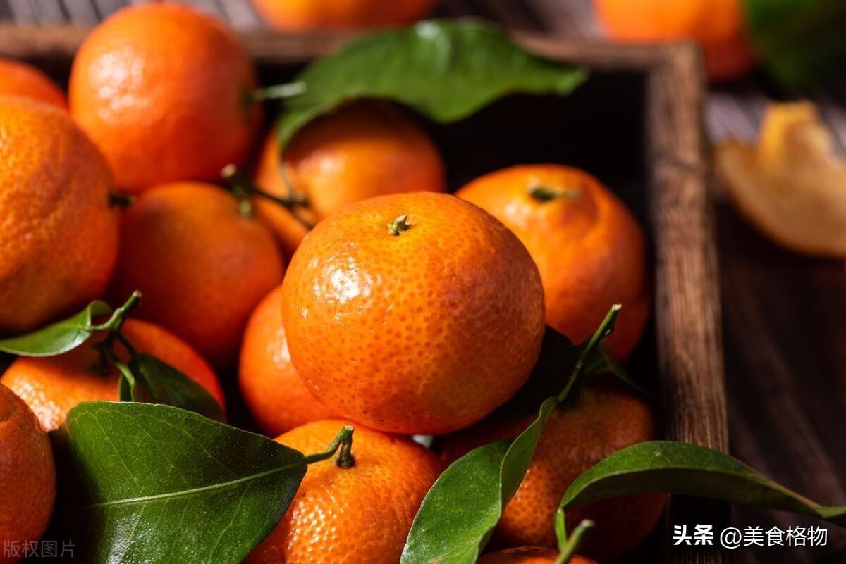 冬季必备，中国不同地区的柑橘类水果品种及特点