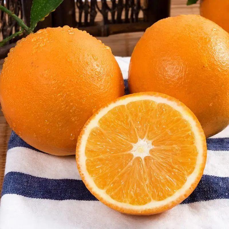 赣南脐橙的“成长背景”和“成长环境”，它为何能在水果市场脱颖而出？