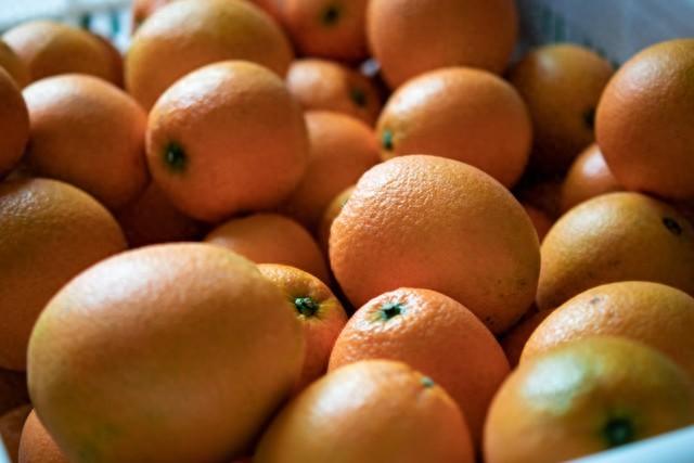 赣南脐橙的崛起与跌落：市场需求变化、橙价波动与产业升级不足