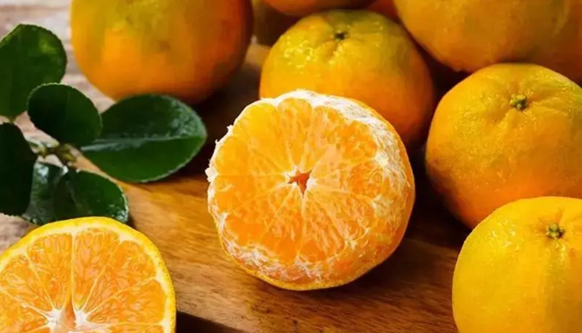 图片[15]-冬日柑橘美食盛宴！8个地方柑橘口味细腻，哪里是你的家乡？-安远脐橙