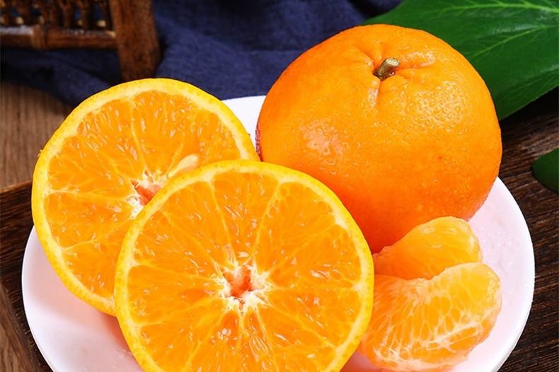 图片[5]-冬天最好吃的橘子品种大揭秘！爱媛果冻橙、砂糖桔等你品尝！-安远脐橙
