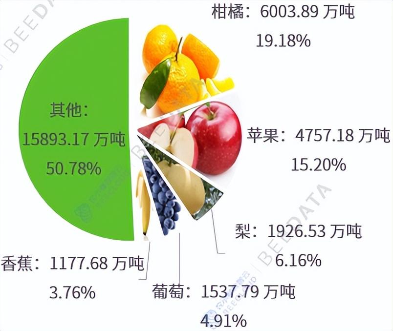 图片[3]-中国柑橘产业发展趋势分析及成本收益比较-安远脐橙