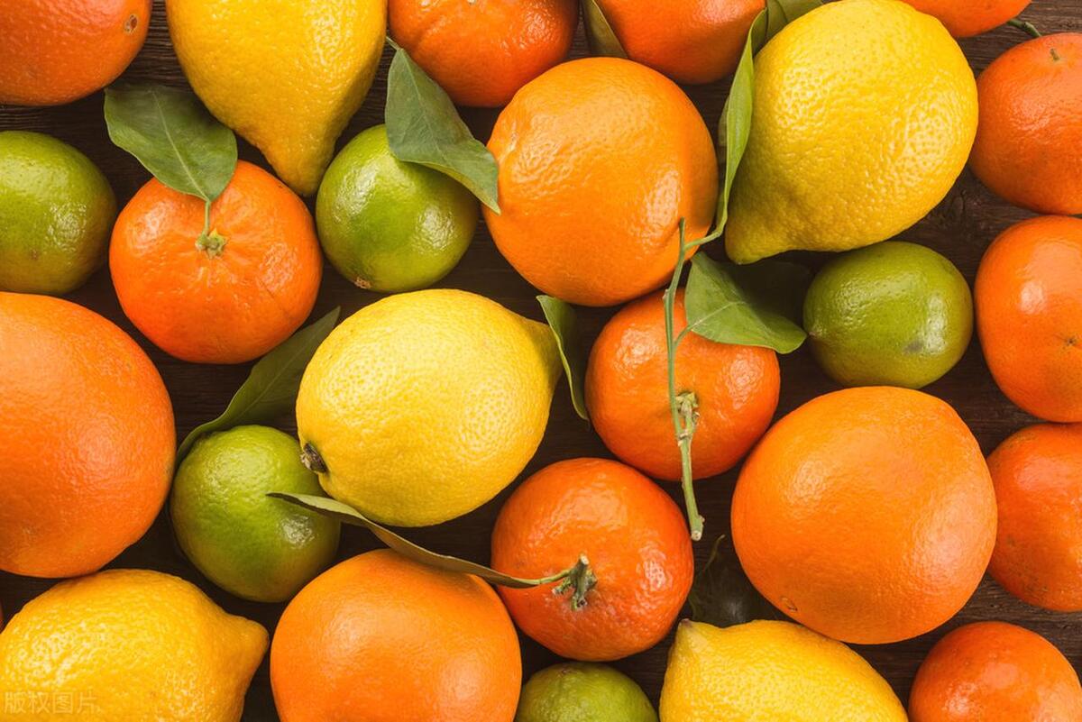图片[2]-柑橘类水果的性质及对人体的影响：解密柑橘水果的功效和热性凉性特点-安远脐橙