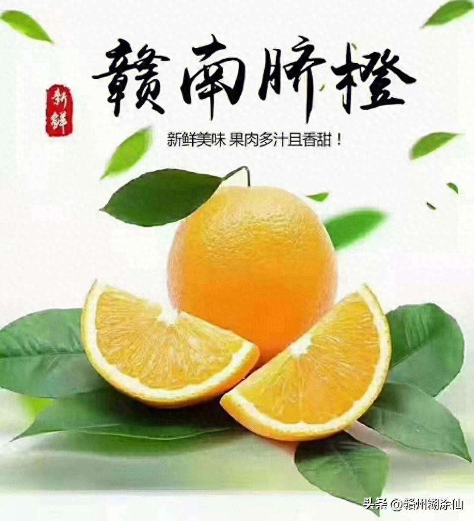 赣南脐橙：得天独厚环境下的优质品种，口感与营养兼具的水果之王！