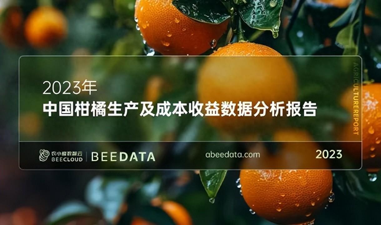 图片[1]-中国柑橘产业发展趋势分析及成本收益比较-安远脐橙