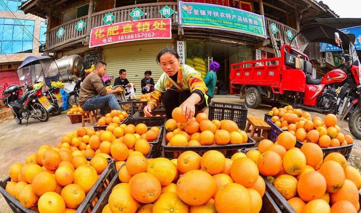 图片[6]-脐橙价格暴跌，赣南地区寻求电商合作提升市场份额-安远脐橙