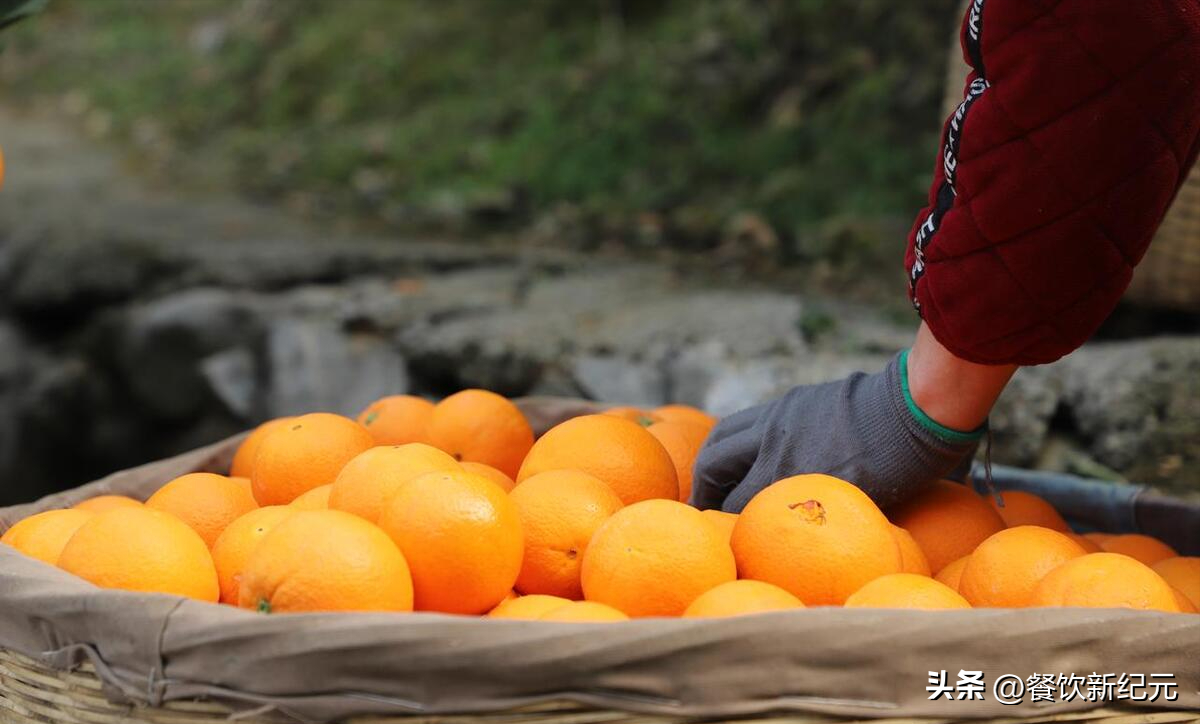 图片[2]-“赣南脐橙为何遇冷？4个现实原因分析，种植者面临的挑战与改进之路”-安远脐橙