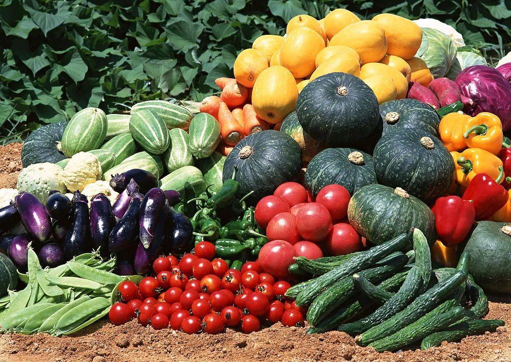 反季节蔬菜到底怎么选？营养价值如何？蔬菜安全问题揭秘！